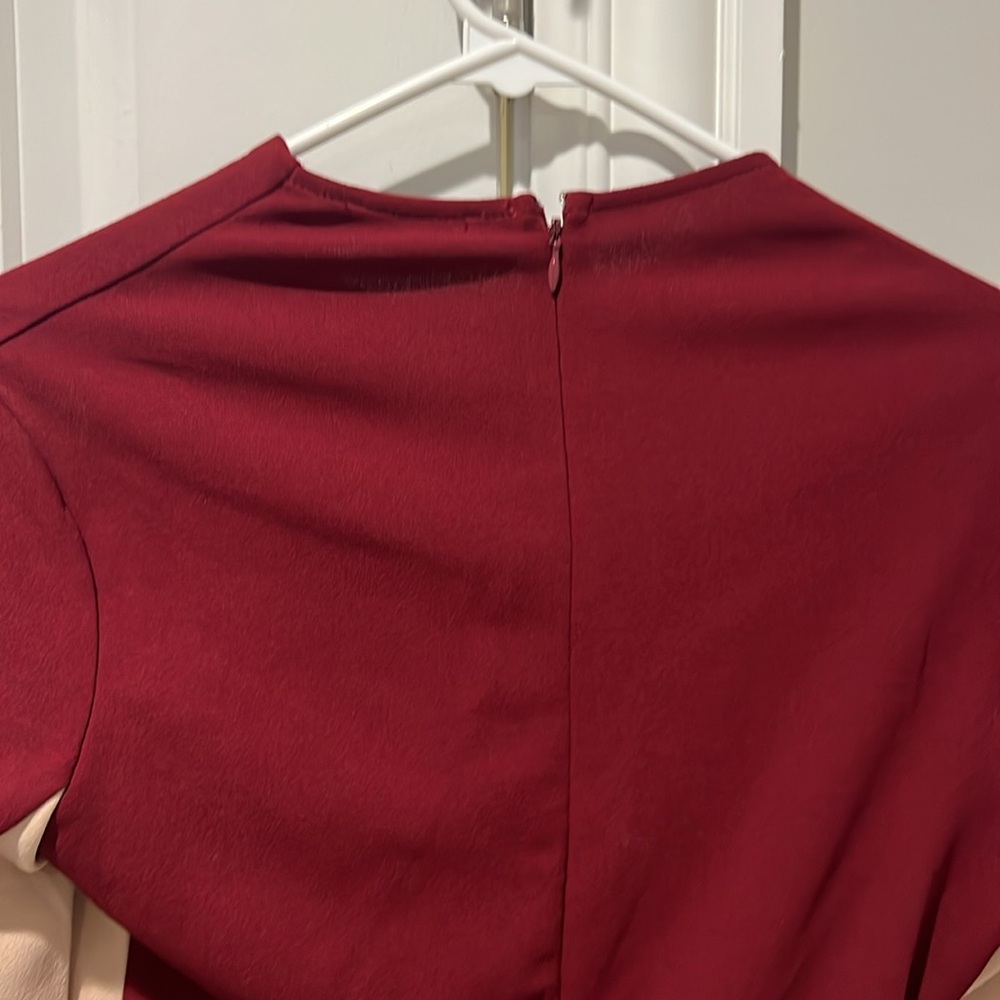 Privy Burgundy and Beige Long Sleeve Dress - Picture 5 of 5